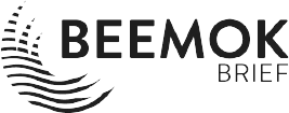 Home - Beemok Brief